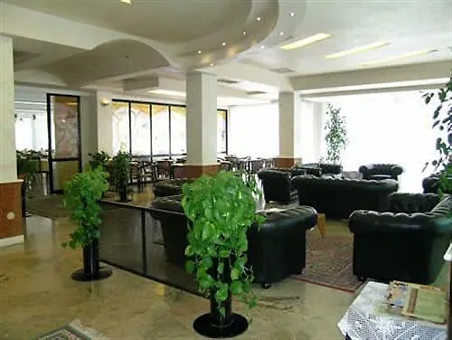 Hotel Artide Rimini